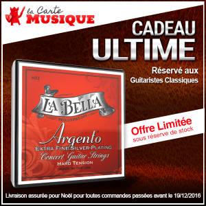 cadeau pour guitariste